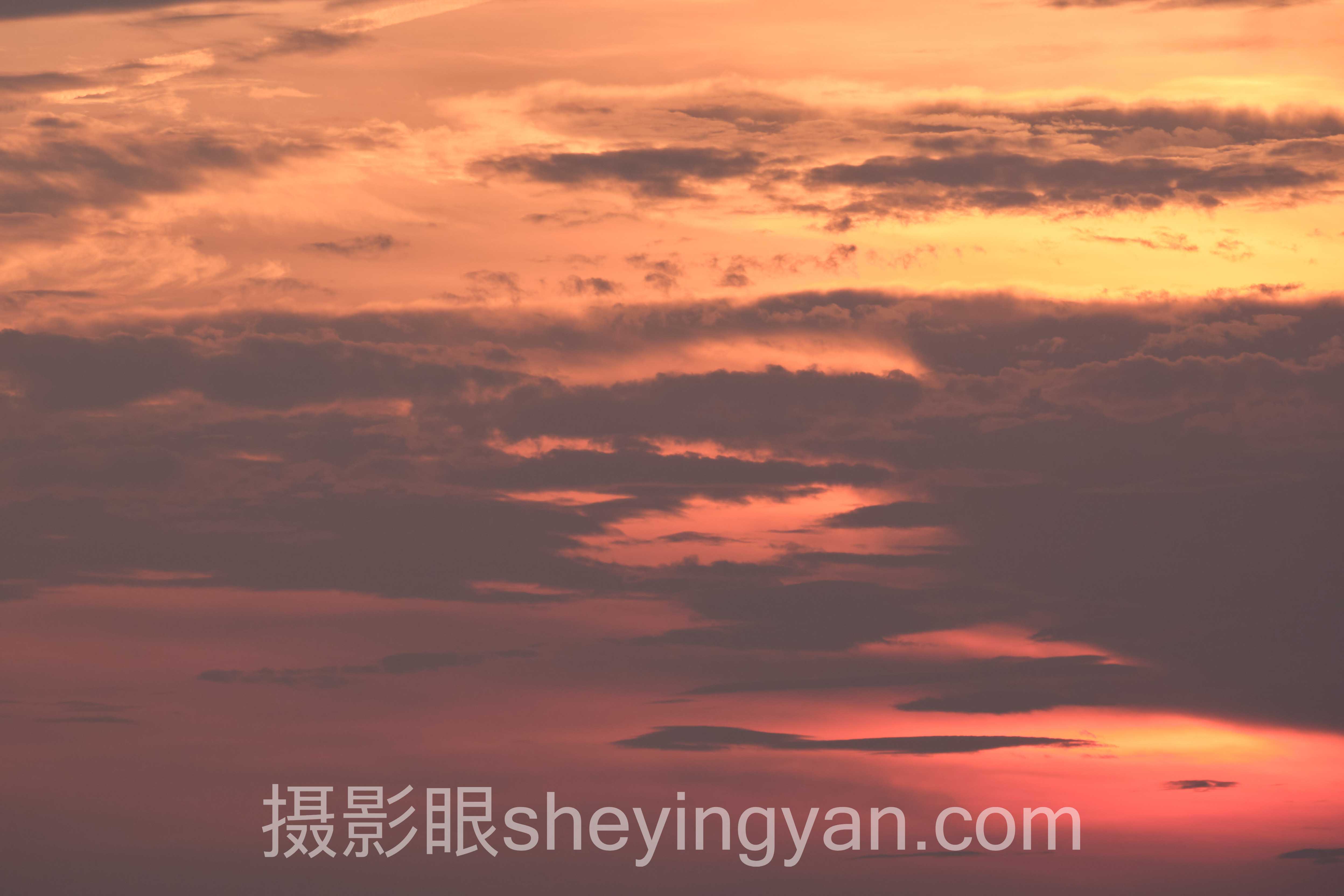 对话行业专家：摄影眼平台123RF对比的关键洞察与前瞻