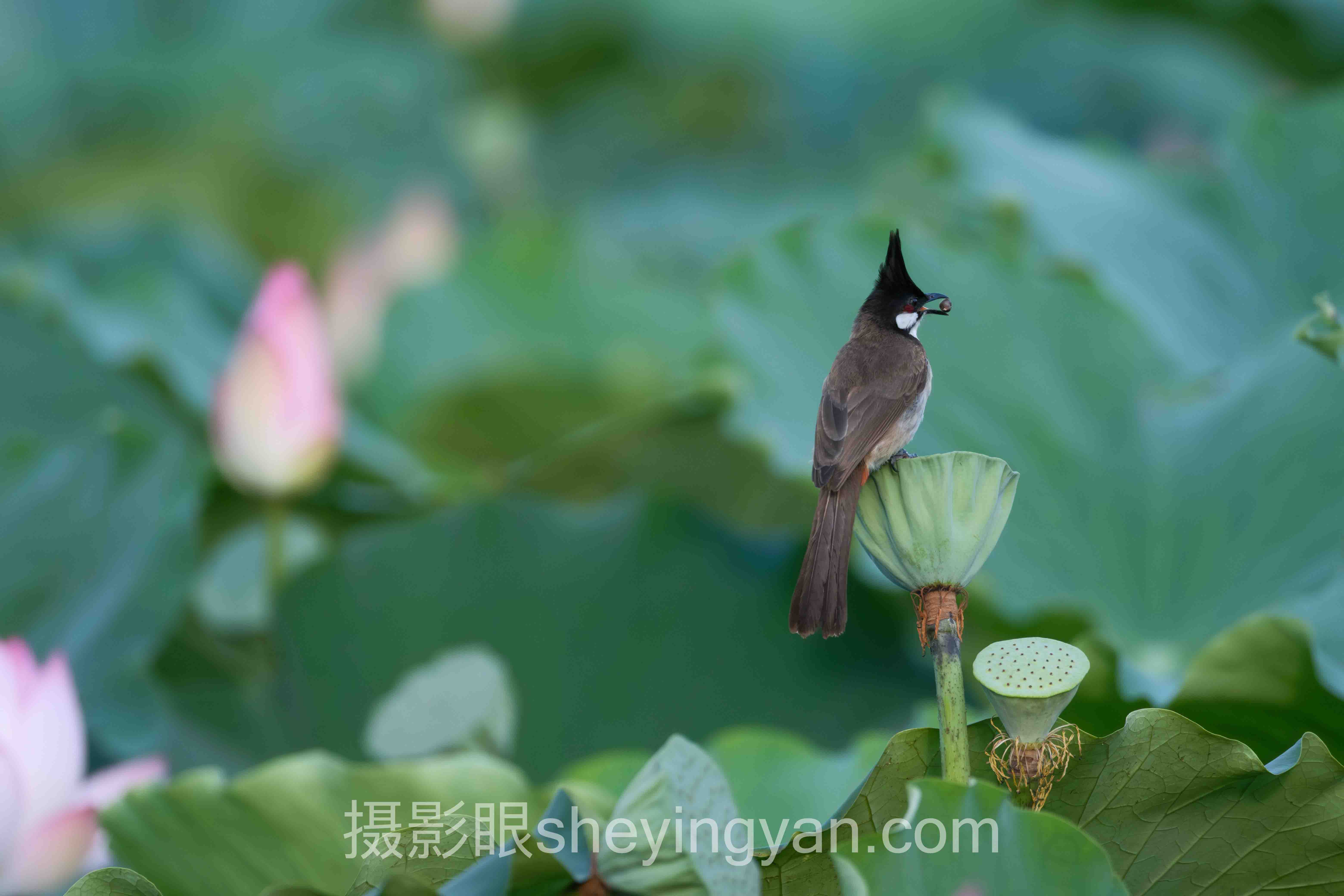 风景摄影照片点评：从新手到大师的3个蜕变案例