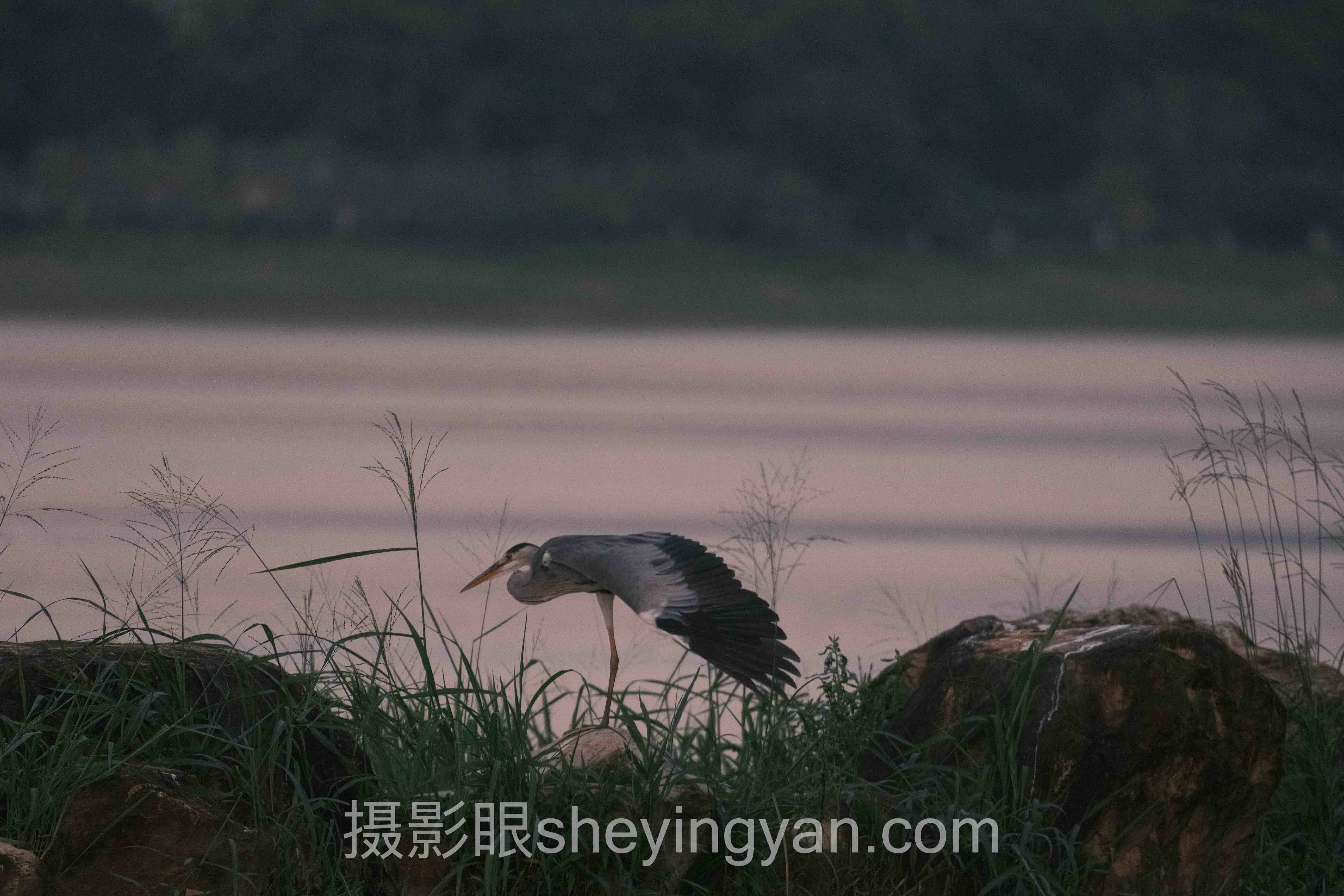 摄影眼官网sheyingyan.com客服的3个真实接触场景