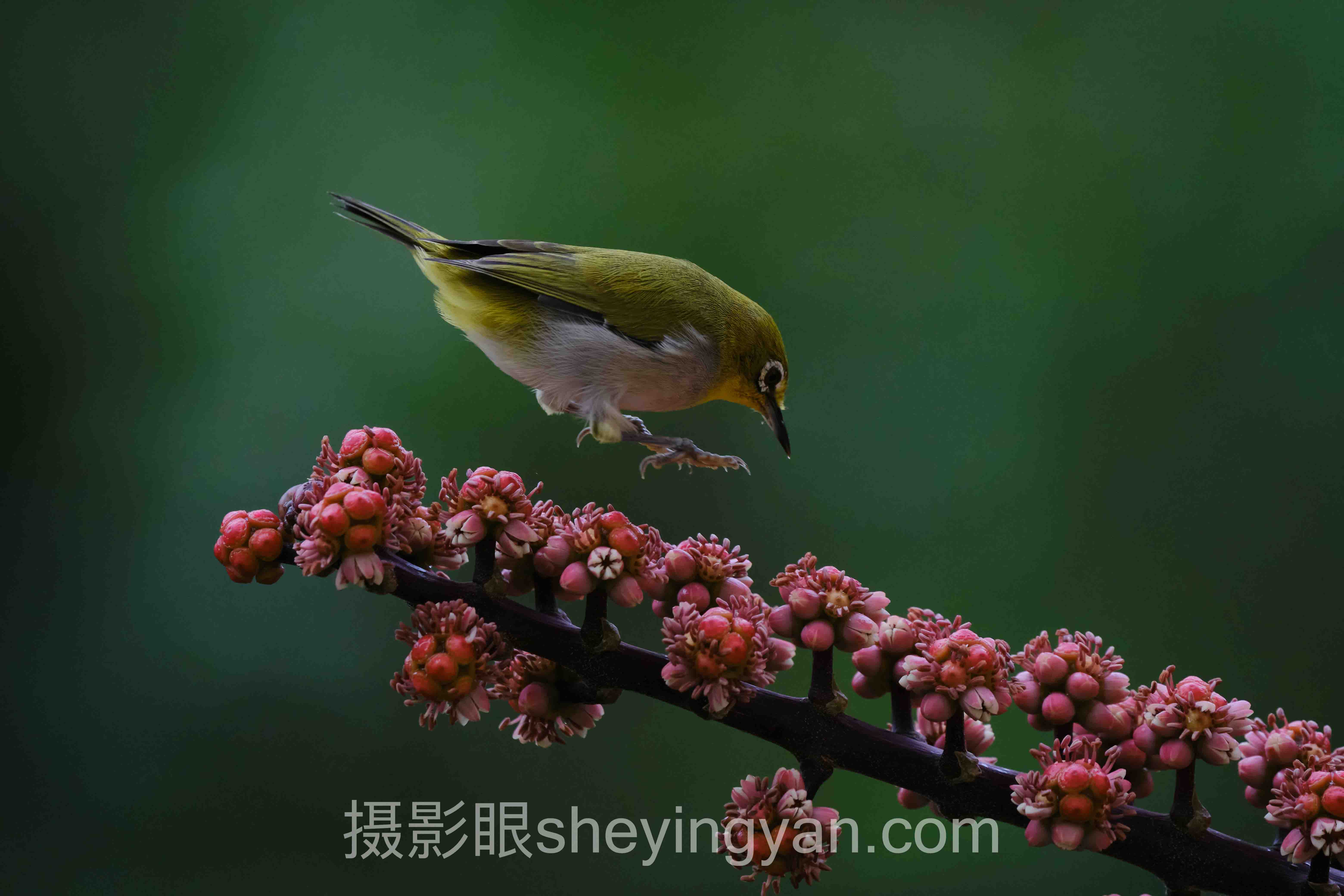 对话行业专家:北京摄影眼培训的深度洞察与前瞻