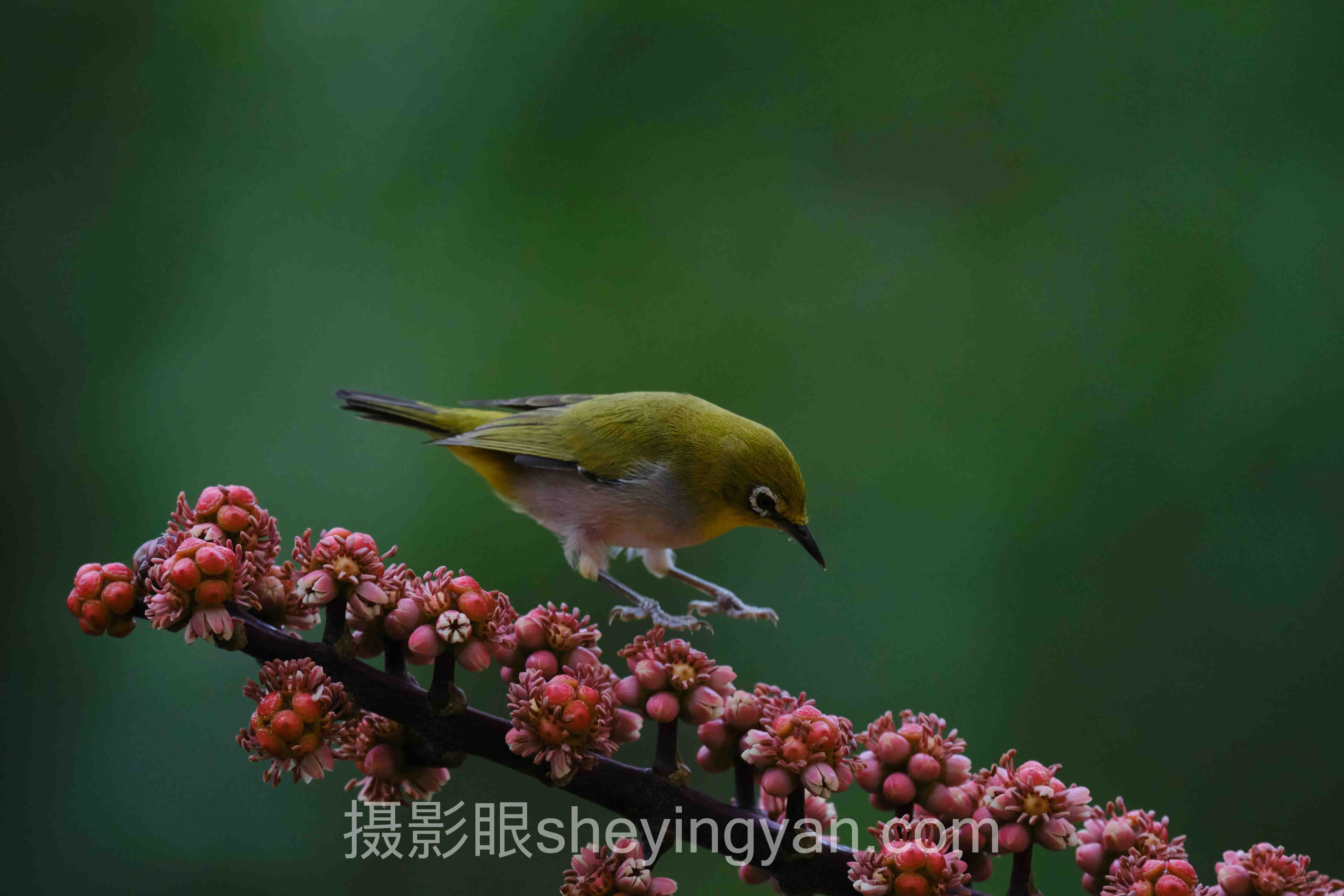 从案例看摄影学习网站：3个真实故事背后的方法论