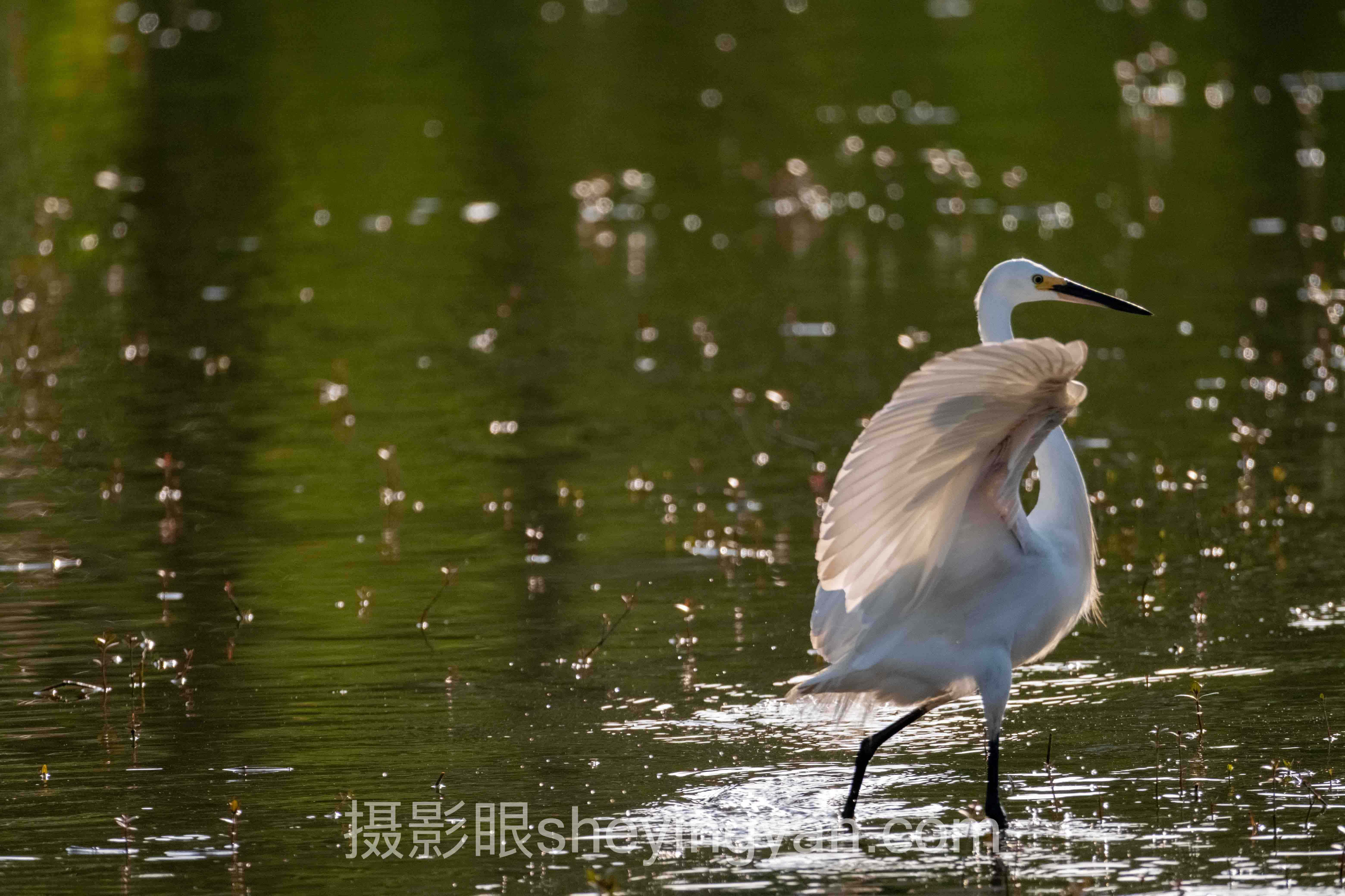儿童摄影学习指南行业数据全景：7组数据揭示真相